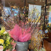 ヒメ日記 2025/02/22 08:57 投稿 くみ 性腺熟女100％（デリヘル市場）