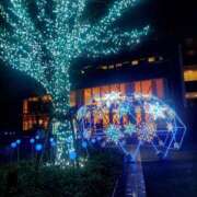 ヒメ日記 2024/12/24 19:55 投稿 たまき 脱がされたい人妻 宇都宮店