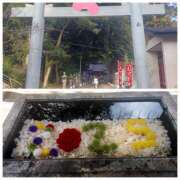 ヒメ日記 2025/01/02 20:28 投稿 たまき 脱がされたい人妻 宇都宮店