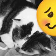 ヒメ日記 2025/01/11 13:13 投稿 たまき 脱がされたい人妻 宇都宮店