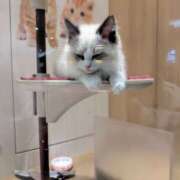 ヒメ日記 2025/01/15 07:41 投稿 たまき 脱がされたい人妻 宇都宮店