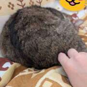 ヒメ日記 2025/02/18 20:22 投稿 たまき 脱がされたい人妻 宇都宮店