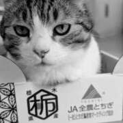 ヒメ日記 2025/02/22 16:07 投稿 たまき 脱がされたい人妻 宇都宮店