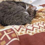 ヒメ日記 2025/03/15 19:33 投稿 たまき 脱がされたい人妻 宇都宮店