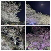 ヒメ日記 2025/04/09 20:02 投稿 たまき 脱がされたい人妻 宇都宮店