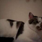 ヒメ日記 2025/05/23 06:50 投稿 たまき 脱がされたい人妻 宇都宮店