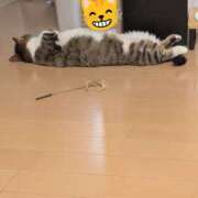 ヒメ日記 2025/06/22 14:18 投稿 たまき 脱がされたい人妻 宇都宮店