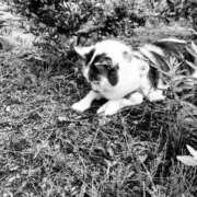 ヒメ日記 2025/06/29 15:48 投稿 たまき 脱がされたい人妻 宇都宮店