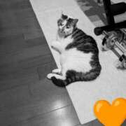 ヒメ日記 2025/07/04 19:51 投稿 たまき 脱がされたい人妻 宇都宮店