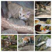 ヒメ日記 2025/07/13 19:25 投稿 たまき 脱がされたい人妻 宇都宮店