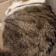 ヒメ日記 2025/08/25 19:58 投稿 たまき 脱がされたい人妻 宇都宮店