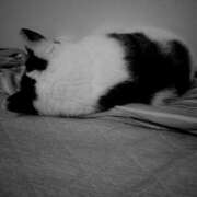 ヒメ日記 2025/08/28 15:00 投稿 たまき 脱がされたい人妻 宇都宮店