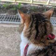 ヒメ日記 2025/09/12 20:28 投稿 たまき 脱がされたい人妻 宇都宮店