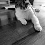 ヒメ日記 2025/09/23 20:10 投稿 たまき 脱がされたい人妻 宇都宮店