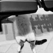 ヒメ日記 2025/10/13 19:22 投稿 たまき 脱がされたい人妻 宇都宮店