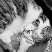 ヒメ日記 2025/10/24 07:18 投稿 たまき 脱がされたい人妻 宇都宮店