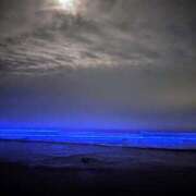 ヒメ日記 2025/11/07 19:53 投稿 たまき 脱がされたい人妻 宇都宮店