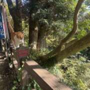 ヒメ日記 2025/11/18 07:14 投稿 たまき 脱がされたい人妻 宇都宮店