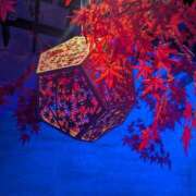 ヒメ日記 2025/11/27 20:14 投稿 たまき 脱がされたい人妻 宇都宮店