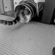 たまき おっちょこちょいです😁 脱がされたい人妻 宇都宮店