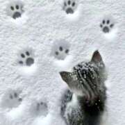 ヒメ日記 2026/02/09 21:53 投稿 たまき 脱がされたい人妻 宇都宮店