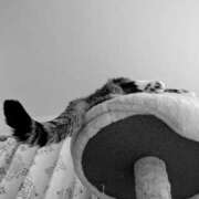 たまき 次回の出勤(•ө•)♡ 脱がされたい人妻 宇都宮店