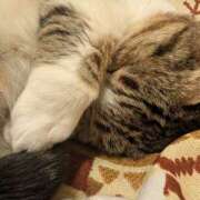 ヒメ日記 2026/03/10 10:03 投稿 たまき 脱がされたい人妻 宇都宮店