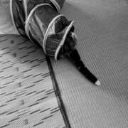 ヒメ日記 2026/03/15 19:37 投稿 たまき 脱がされたい人妻 宇都宮店