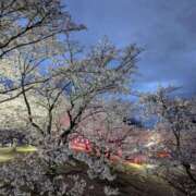 ヒメ日記 2026/04/09 19:39 投稿 たまき 脱がされたい人妻 宇都宮店