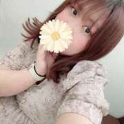 ヒメ日記 2025/07/02 12:40 投稿 める 僕らのぽっちゃリーノin野田