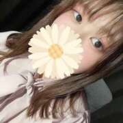 ヒメ日記 2025/08/06 17:50 投稿 める 僕らのぽっちゃリーノin春日部