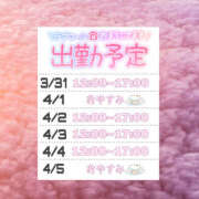 ヒメ日記 2025/03/31 01:51 投稿 椎名　あみ スッキリ商事