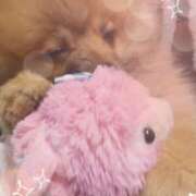 ヒメ日記 2025/02/20 00:50 投稿 りおな 脱がされたい人妻 宇都宮店