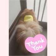 ヒメ日記 2025/07/31 01:11 投稿 りおな 脱がされたい人妻 宇都宮店