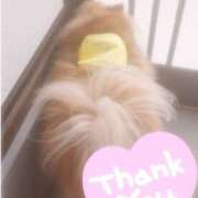 ヒメ日記 2025/08/05 15:50 投稿 りおな 脱がされたい人妻 宇都宮店