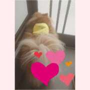 ヒメ日記 2025/09/18 19:21 投稿 りおな 脱がされたい人妻 宇都宮店