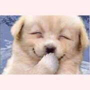 ヒメ日記 2025/09/20 18:00 投稿 りおな 脱がされたい人妻 宇都宮店