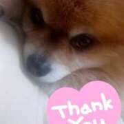 ヒメ日記 2026/04/03 02:00 投稿 りおな 脱がされたい人妻 宇都宮店