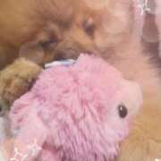 ヒメ日記 2026/04/08 01:20 投稿 りおな 脱がされたい人妻 宇都宮店