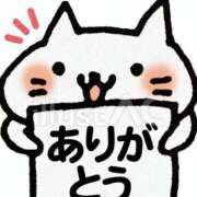 ヒメ日記 2026/10/19 01:50 投稿 りおな 脱がされたい人妻 宇都宮店