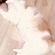 ヒメ日記 2025/05/09 12:02 投稿 鈴乃（すずの） 元祖神戸Ｍ性感～Ｍ・ｉｎｇ～