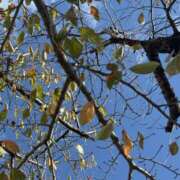 ヒメ日記 2026/01/05 11:03 投稿 沙彩/Saaya ジュリエット