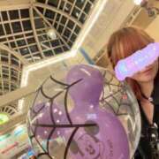 ヒメ日記 2024/12/08 00:26 投稿 みみ ニュー不夜城