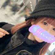 ヒメ日記 2024/12/29 18:46 投稿 みみ ニュー不夜城