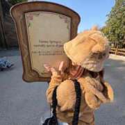 ヒメ日記 2025/01/16 19:56 投稿 みみ ニュー不夜城