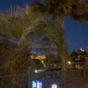 ヒメ日記 2025/02/13 20:26 投稿 みみ ニュー不夜城