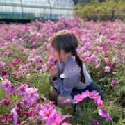 ヒメ日記 2025/03/03 06:16 投稿 みみ ニュー不夜城