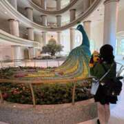 ヒメ日記 2025/03/28 10:36 投稿 みみ ニュー不夜城