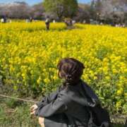 ヒメ日記 2025/04/08 11:46 投稿 みみ ニュー不夜城