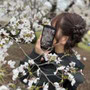 ヒメ日記 2025/04/08 13:30 投稿 みみ ニュー不夜城